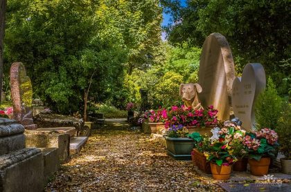אנייר – בית הקברות לחיות הראשון בעולם