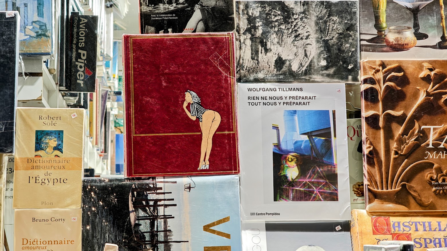 כמה מהספרים שניתן למצוא בדוכני הבוקיניסטים. צילום: צבי חזנוב