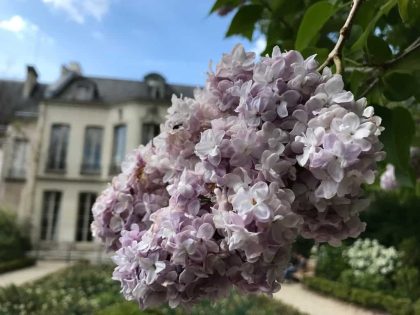 Journées du Patrimoine: Paris’s Open House Weekend