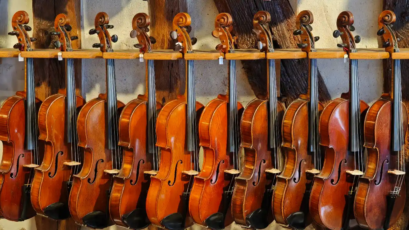 הכנורות שנמכרים בבית המלאכה Les Violons du Rubec. צילום: צבי חזנוב