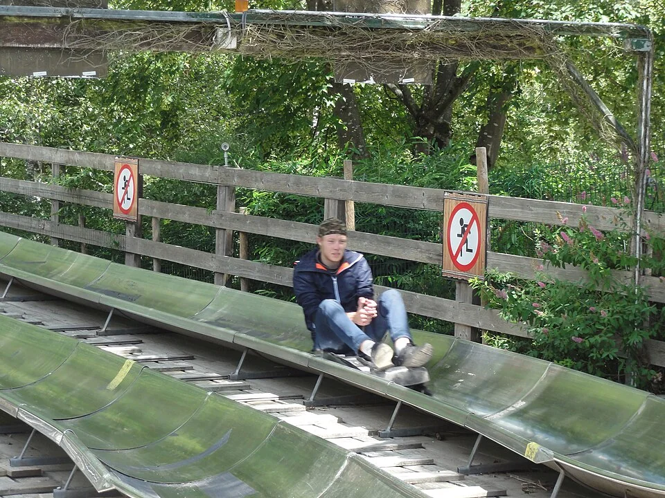 Summer luge track (bob luge) in the Vosges Mountains